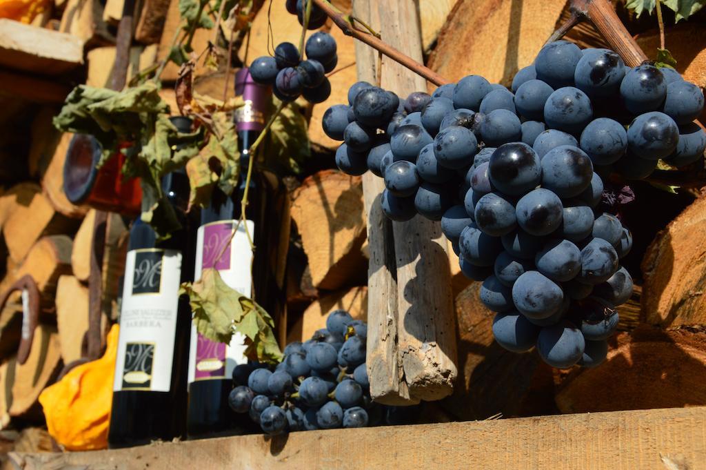 Vila Agriturismo Il Nido Di Bacco Markrabství Markrabství Saluzzo Exteriér fotografie
